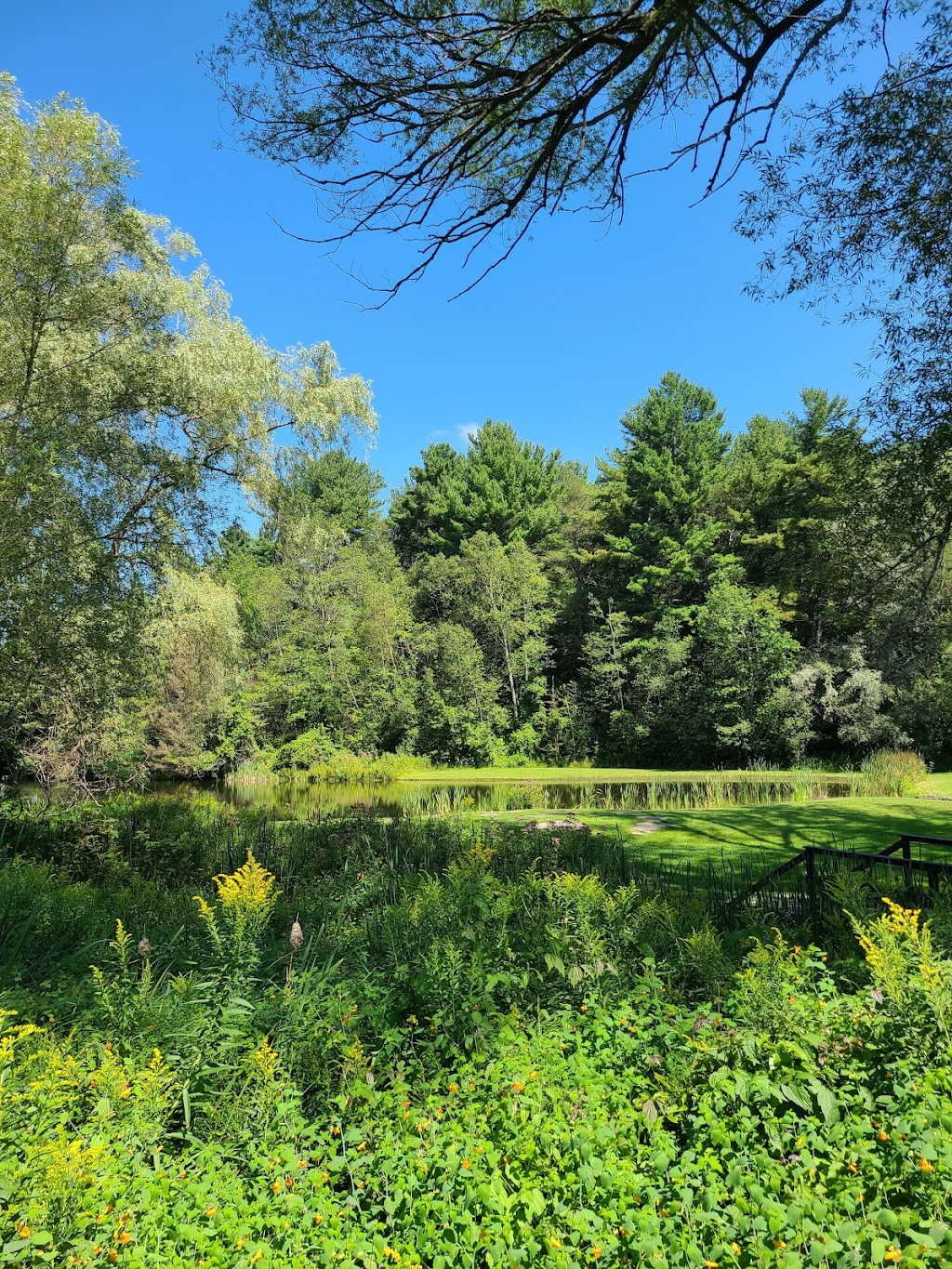 White Pines Golf | 1235 Chemin Du Loup, Penetanguishene, ON L9M 1R3, Canada | Phone: (705) 533-4004