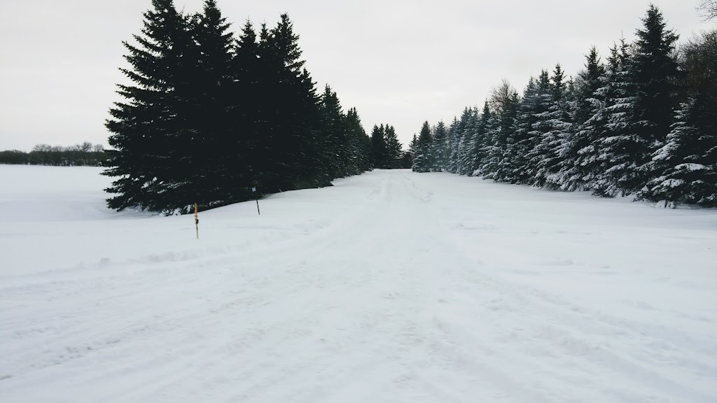 Manitou and Community Arena | 212 Carrie St, Manitou, MB R0G 1G0, Canada | Phone: (204) 242-2636