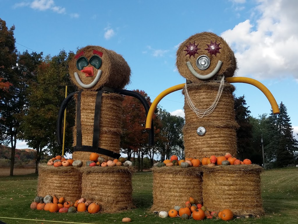 Uncle Scotts Farm | 6583 Walkers Line, Burlington, ON L7M 0R2, Canada | Phone: (905) 319-3298