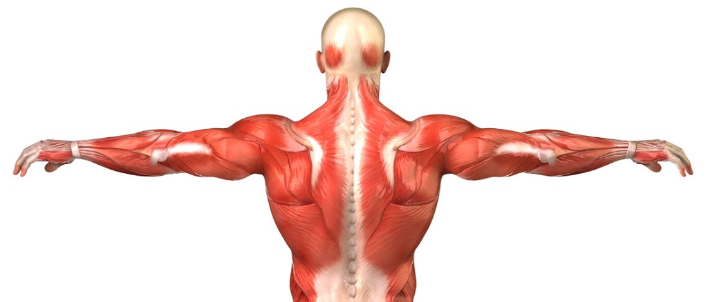 JRG ostéopathie - Jorge Rodríguez-Gómez | 787 Rue Saint-Pierre No. 6, Drummondville, QC J2C 3X2, Canada | Phone: (819) 388-3733