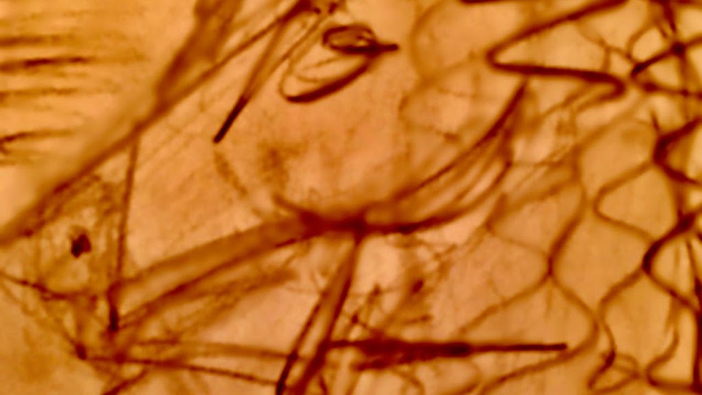 Annick Lemay Arts | 14601 20 Ave #201, Surrey, BC V4A 1S9, Canada | Phone: (236) 332-9666