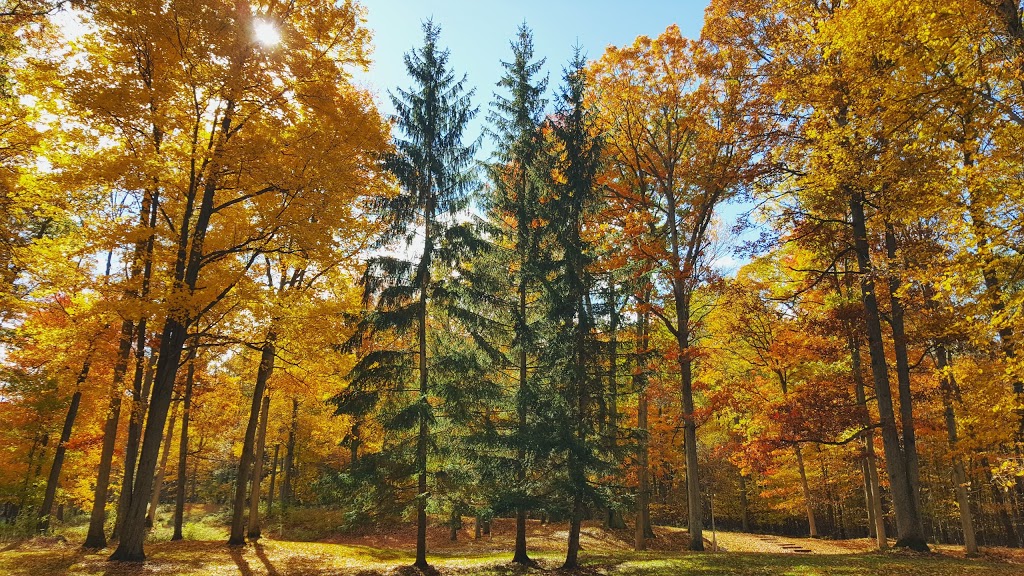 Fernwood Hills | 9533 Oxbow Dr, Komoka, ON N0L 1R0, Canada | Phone: (519) 471-0950