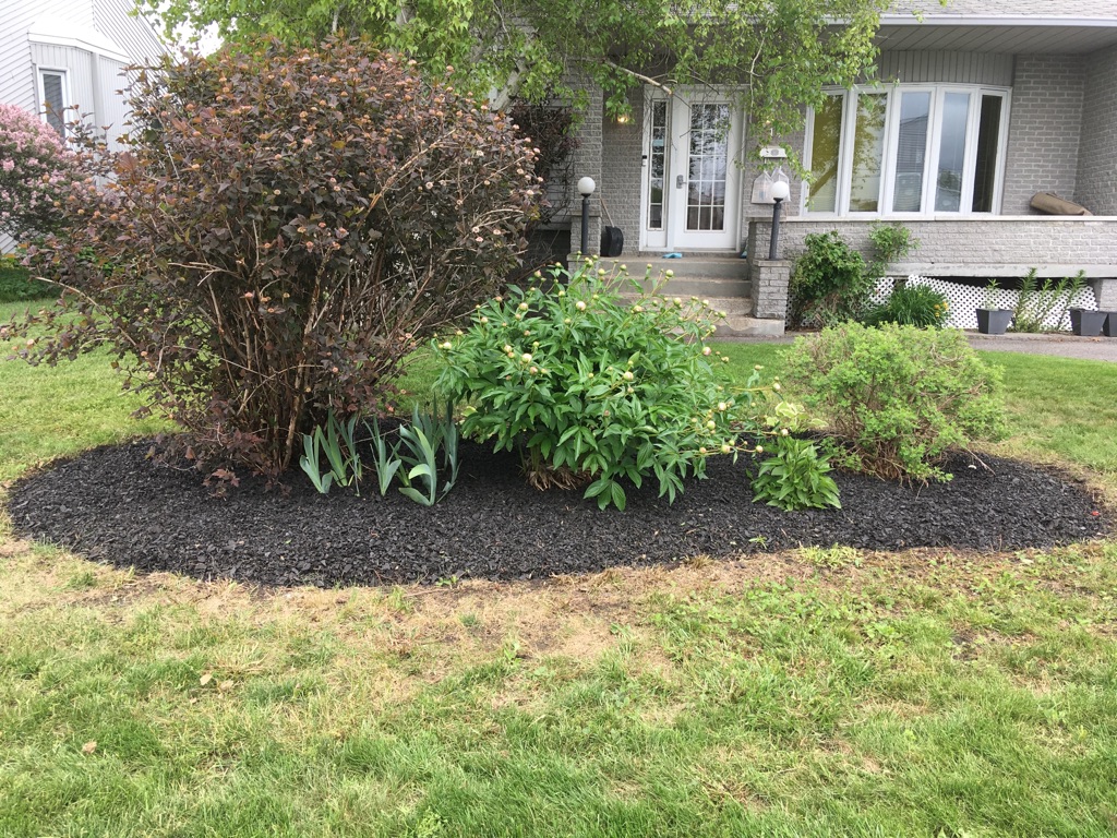 Extermination Allaire - Exterminateur rive sud et entretien pays | 32 Chemin Saint-François-Xavier, Saint-Mathieu, QC J0L 2H0, Canada | Phone: (514) 994-4045