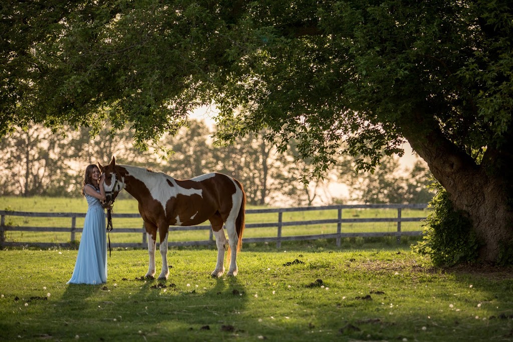 Foxwood Farm Equestrian Centre | 2042 Line 13, Gilford, ON L0L 1R0, Canada | Phone: (905) 775-0155
