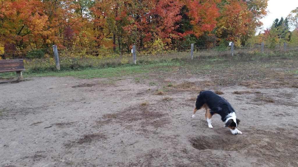 Harmony Valley Conservation Area & Off-Leash Dog Park | park | 915 Grandview St N, Oshawa, ON L1K 2J9, Canada | 9054363311 OR +1 905-436-3311