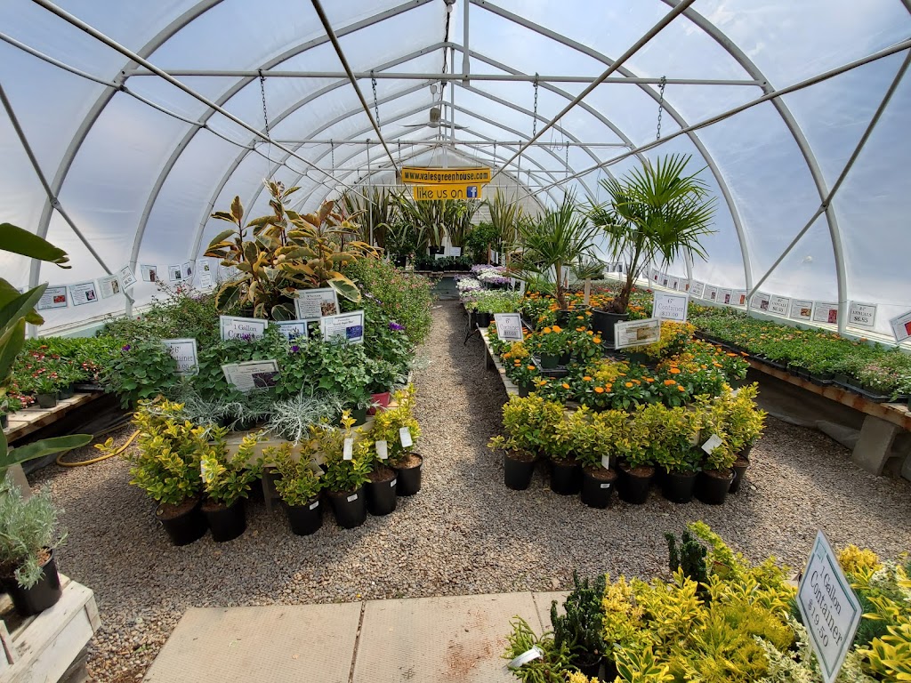 Vales Greenhouse | point of interest | 301 3 St NW, Black Diamond, AB T0L 0H0, Canada | 4039334814 OR +1 403-933-4814