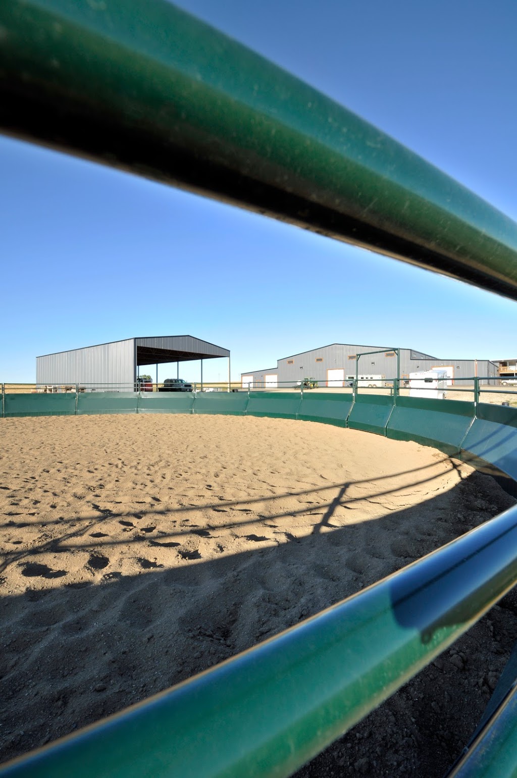 Prairie Mountain Ranch | 3245 Township Rd 292, Madden, AB T0M 1L0, Canada | Phone: (403) 946-0430