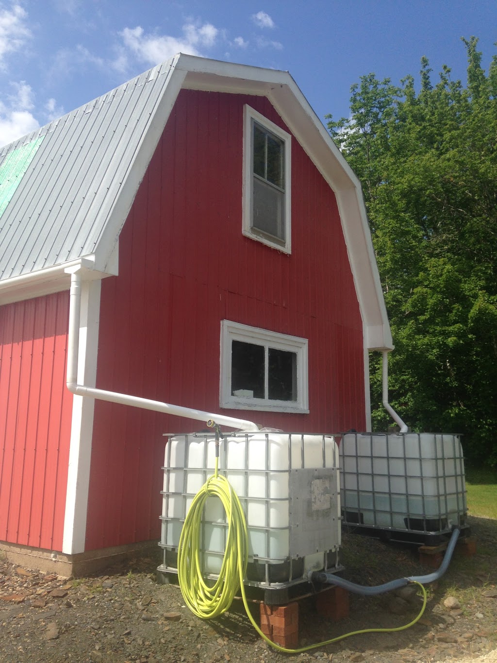 Newbury Hill Farm | 700 Farmington Rd, Barss Corner, NS B0R 1A0, Canada | Phone: (902) 523-2892