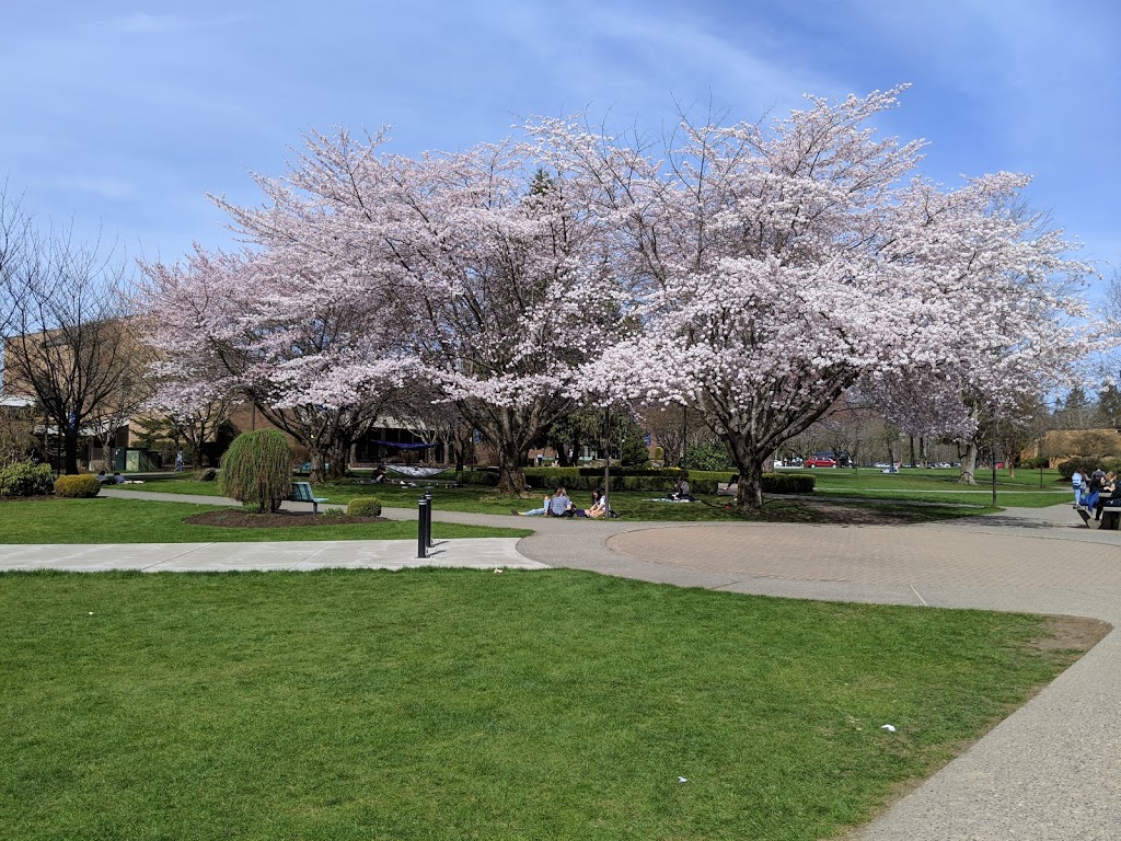 Trinity Western University | 7600 Glover Rd, Langley City, BC V2Y 1Y1, Canada | Phone: (604) 888-7511