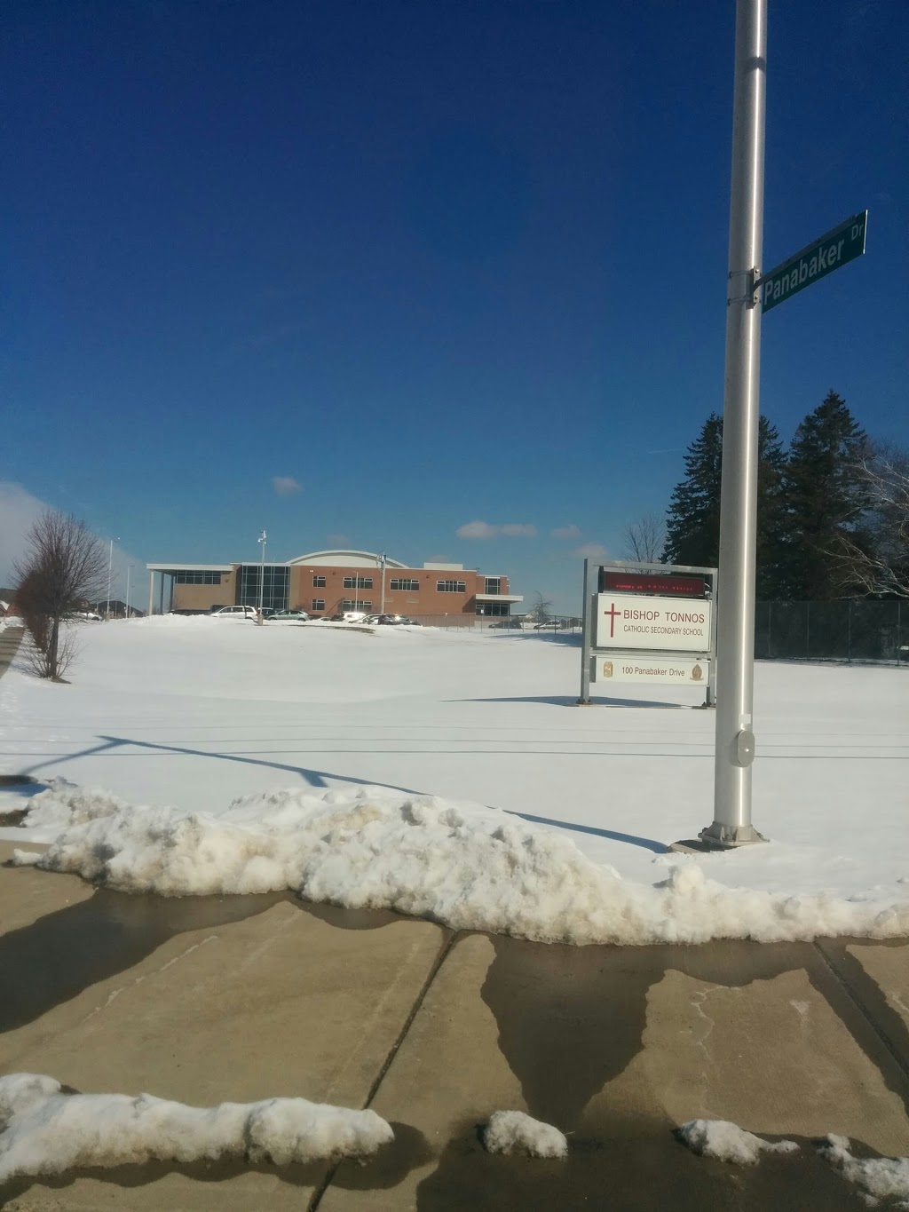 Bishop Tonnos Secondary School | 100 Panabaker Dr, Ancaster, ON L9G 5E3, Canada | Phone: (905) 523-2331