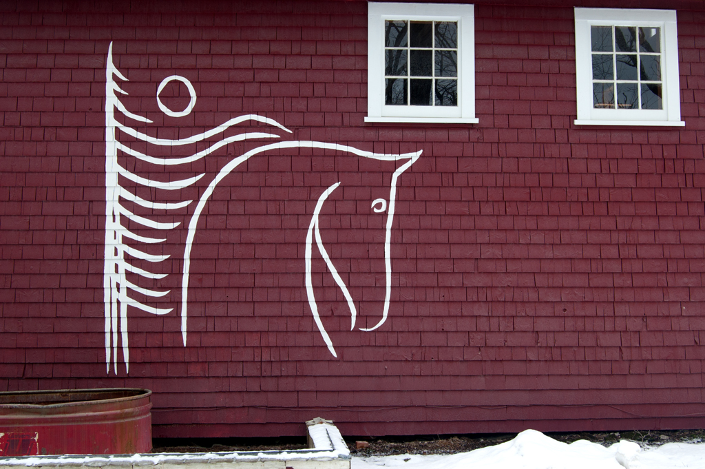 Windhorse Farm | 129 Sarty Rd, Wentzells Lake, NS B4V 4J6, Canada | Phone: (902) 543-6955