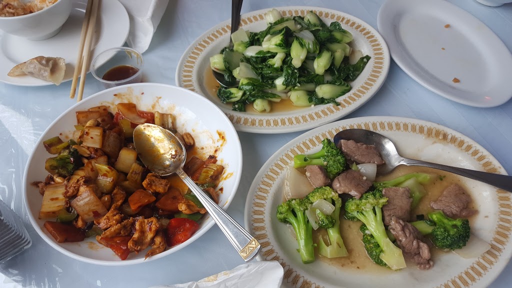 Baby Panda | 467 King St, Windsor, NS B0N 2T0, Canada | Phone: (902) 472-3866