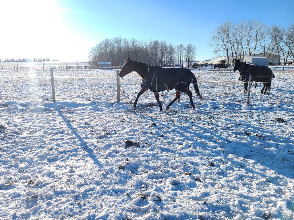 Nowell Equine | 274188, Range Rd 20, AB T4B 4M4, Canada | Phone: (403) 996-4456