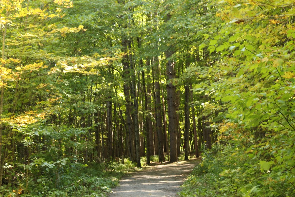 Sugarbush Trail | 33 Chemin Scott, Chelsea, QC J9B 1R5, Canada