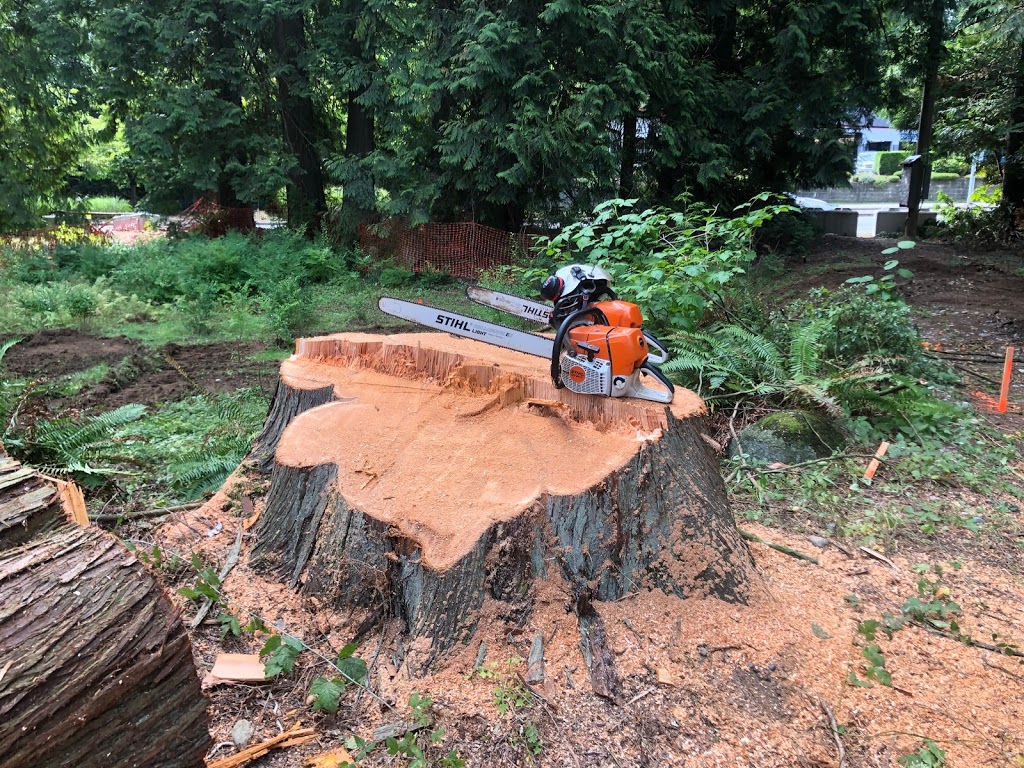 M.Mcconkey Arborist Services Ltd | 34976 Laburnum Ave, Abbotsford, BC V2S 5M7, Canada | Phone: (604) 597-2286