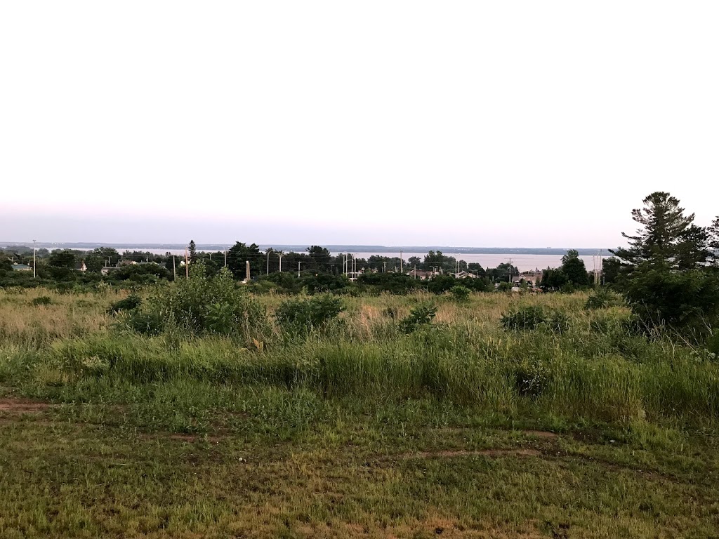 Parc de la Fabrique | 180 Rue de la Fabrique, Gatineau, QC J9J 2Y6, Canada | Phone: (819) 246-2828