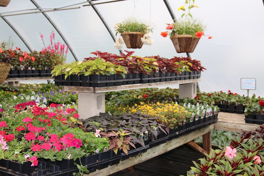 The Garden Path | 7233 Brown Rd, Orono, ON L0B 1M0, Canada | Phone: (905) 983-9579