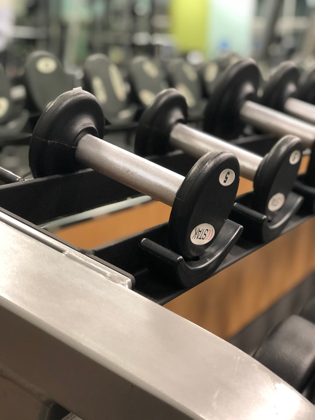 Anytime Fitness Transcona | 1750 Plessis Rd, Winnipeg, MB R3W 0B3, Canada | Phone: (431) 999-1555