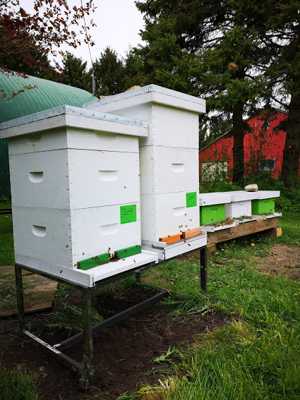 Earth + Honeybee | 22342 Clarke Rd, Ilderton, ON N0M 2A0, Canada | Phone: (519) 494-8070