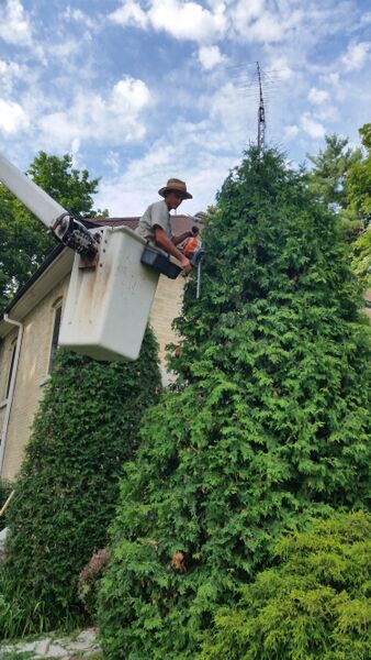 Proscape Horticultural Svc Ltd | 3244 Carriage Rd, Delaware, ON N0L 1E0, Canada | Phone: (519) 652-6335