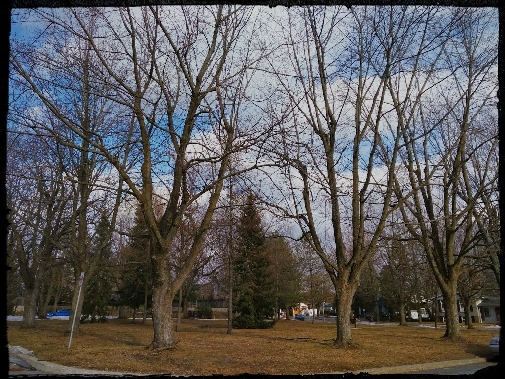 Parc Sainte-Augustine | Rue du Verger, Saint-Bruno-de-Montarville, QC J3V, Canada