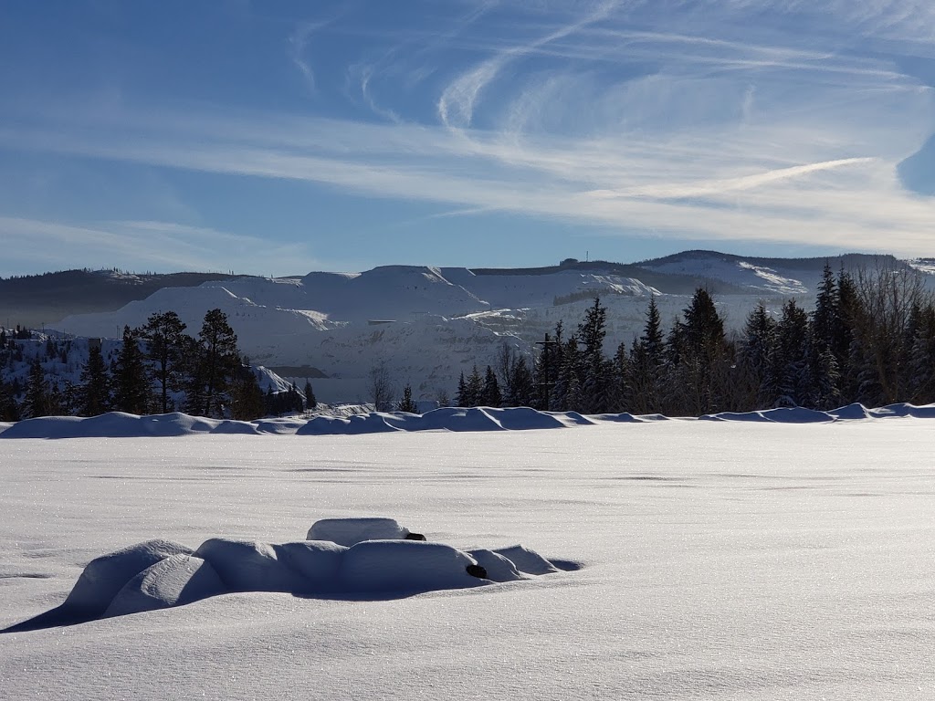 Envirogreen Technologies Ltd. | 1901 BC-3, Princeton, BC V0X 1W0, Canada | Phone: (250) 295-6634