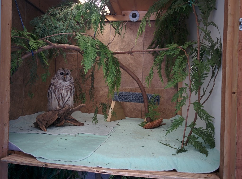 BC SPCA Wild Animal Rehabilitation Centre (Wild ARC) | 1020 Malloch Rd, Victoria, BC V9C 4G9, Canada | Phone: (855) 622-7722