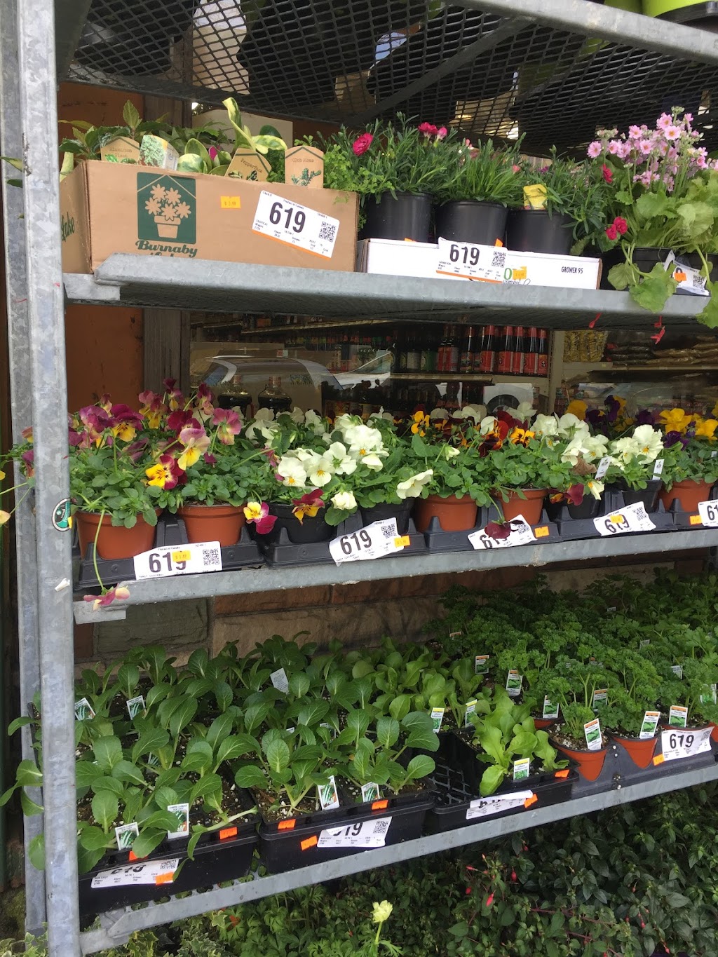 Triple A Fresh Produce | 4356 Hastings St, Burnaby, BC V5C 2J9, Canada | Phone: (604) 205-1773