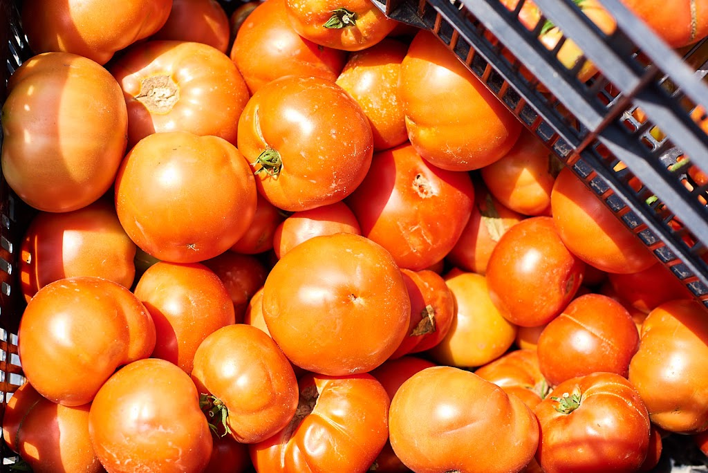 Needhams Market Garden | 1335 Ottawa Rd 29, Arnprior, ON K7S 3G7, Canada | Phone: (613) 983-6082
