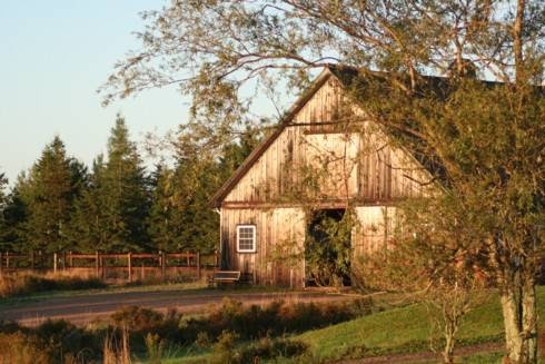 Pine Grove Stable | 957 Pinegrove Rd, Blockhouse, NS B0J 1E0, Canada | Phone: (902) 521-6724