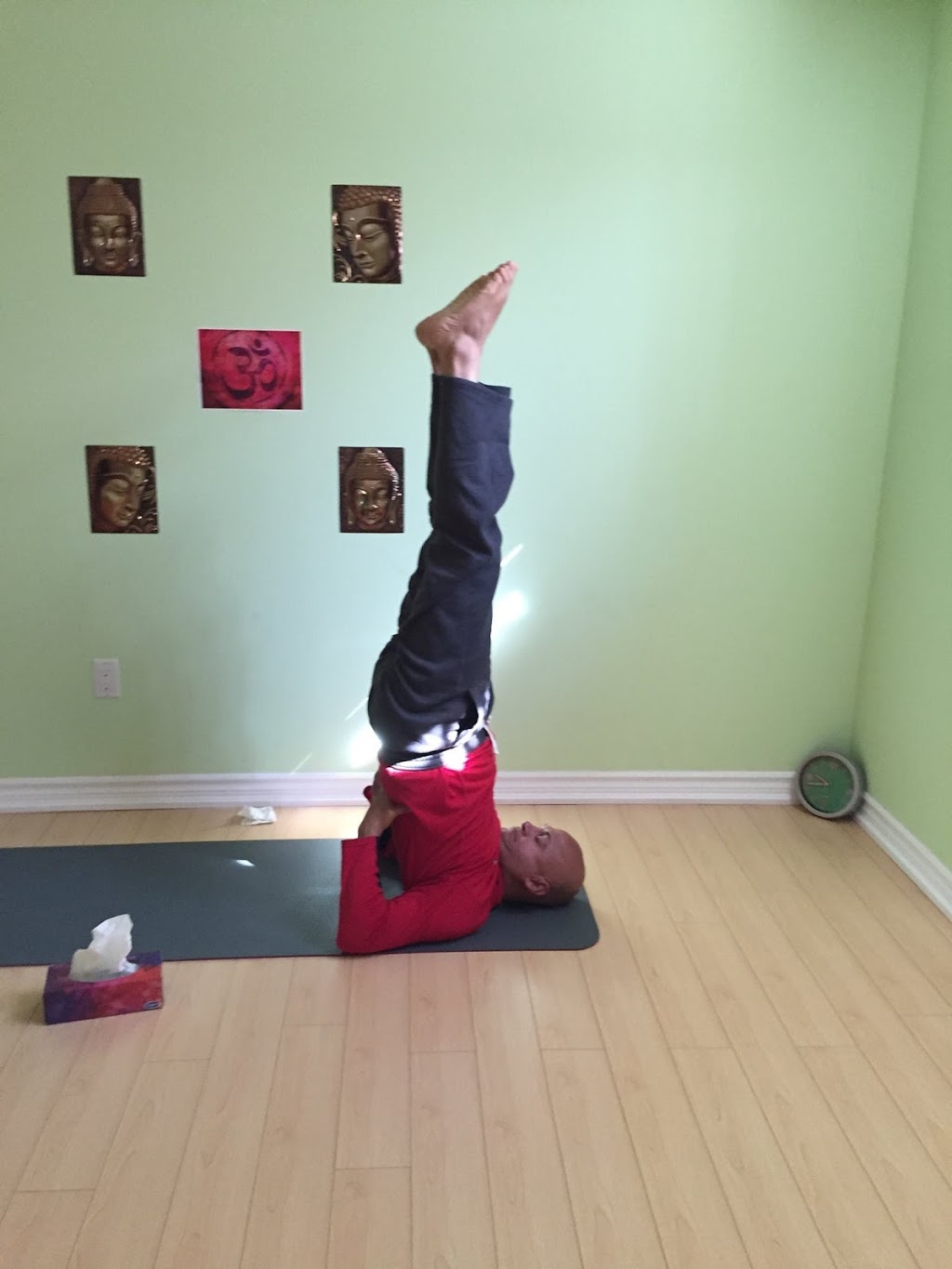 Harmony Yoga Centre | 57 Mission Ridge Trail, Brampton, ON L6P 0B5, Canada | Phone: (905) 488-5709