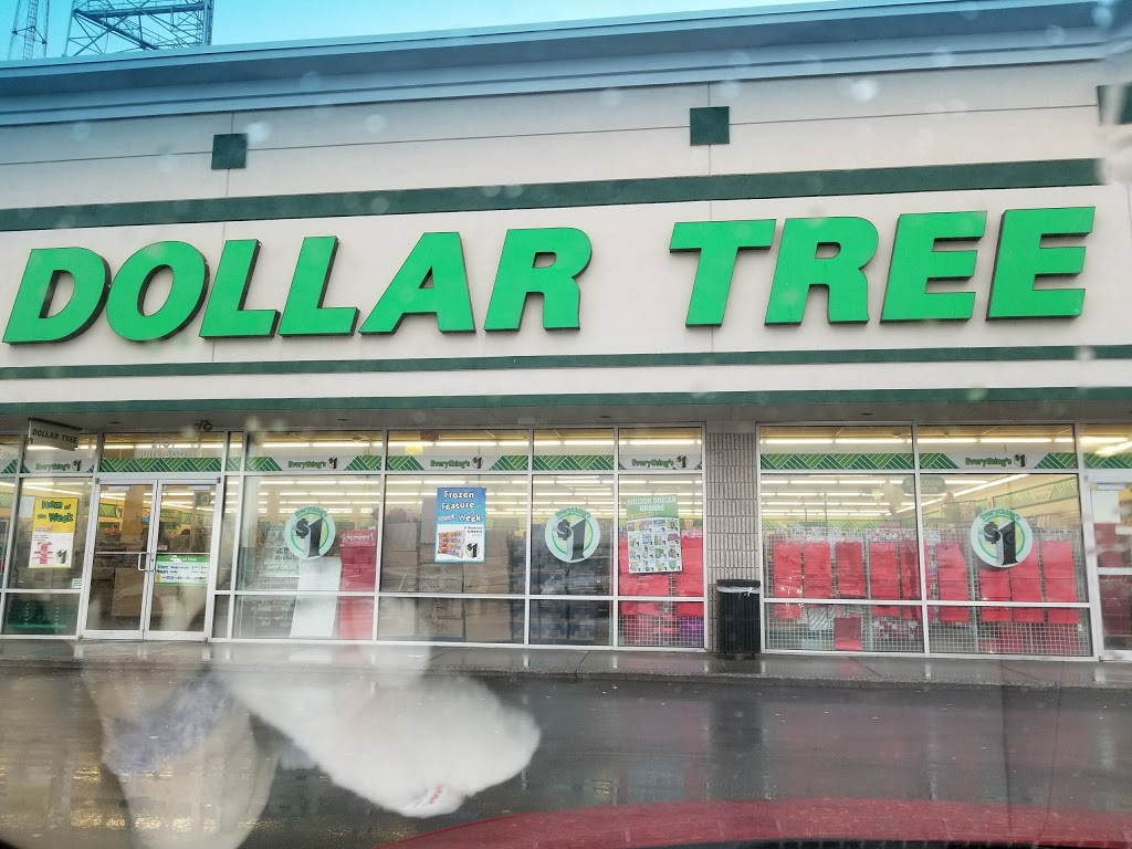 Dollar Tree | 4236 Delaware Ave, Tonawanda, NY 14150, USA | Phone: (716) 799-6038