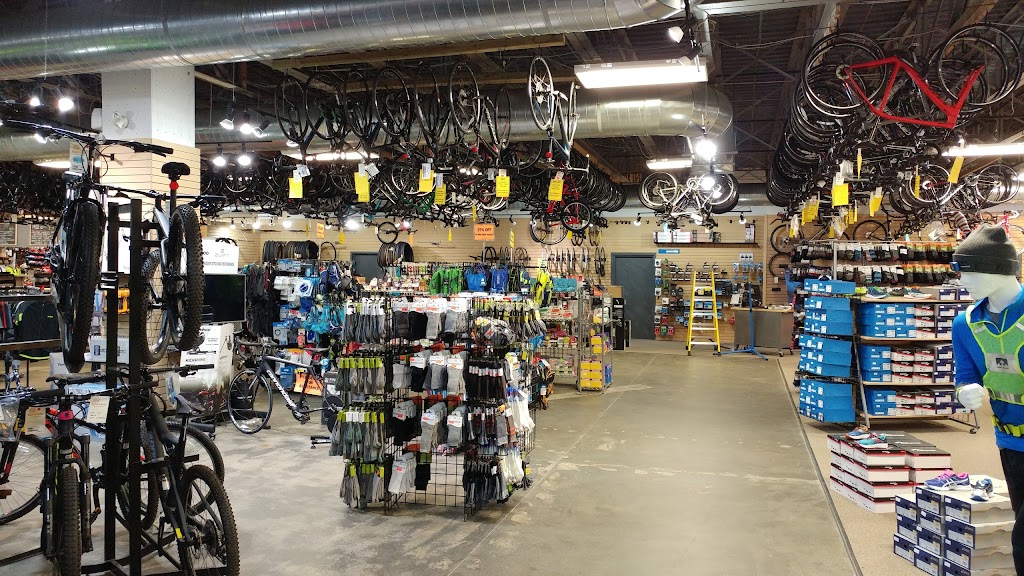Bushtukah - Westboro | 203 Richmond Rd, Ottawa, ON K1Z 6W4, Canada | Phone: (613) 792-1170