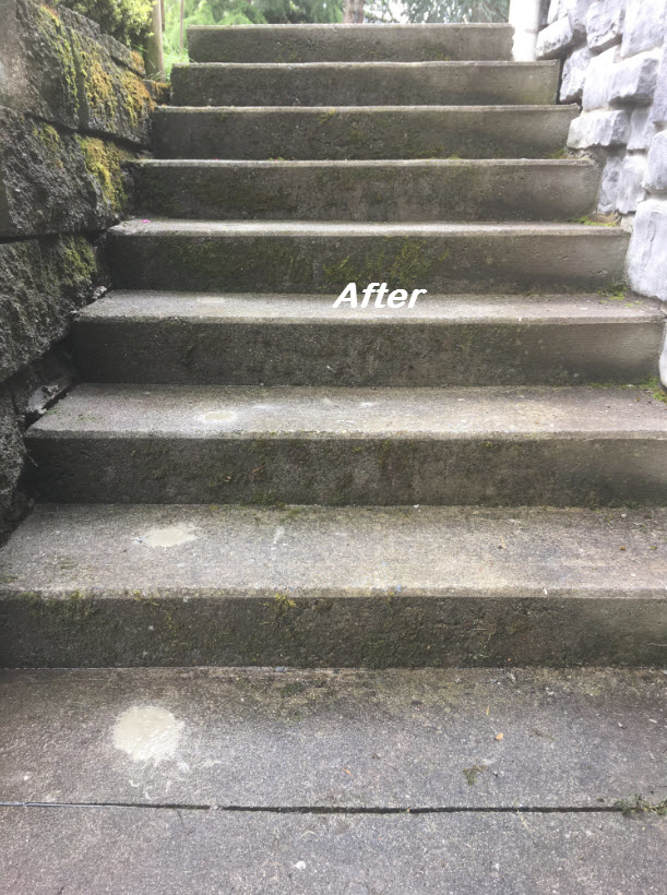 Rigid Concrete Raising and Repair | 887 Bucktail Rd, Mill Bay, BC V0R 2P1, Canada | Phone: (250) 880-1049