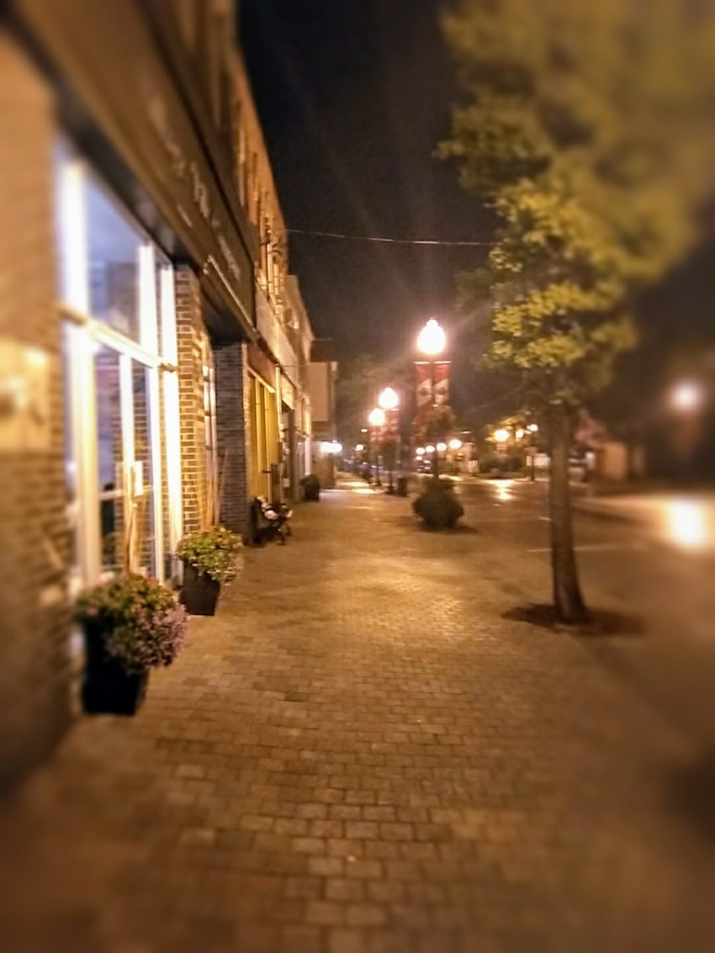 For The Love Of Jo | 6308 Main St, Whitchurch-Stouffville, ON L4A 1G8, Canada | Phone: (905) 642-2326