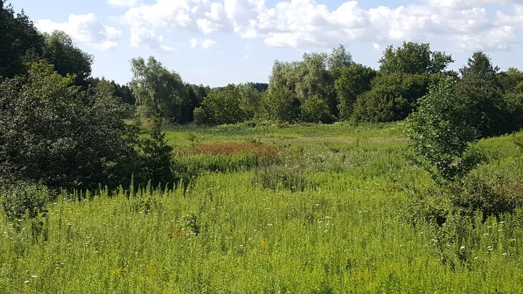 Rougeview Dog Park | 300 Rougeview Ave, Whitchurch-Stouffville, ON L4A 0G5, Canada