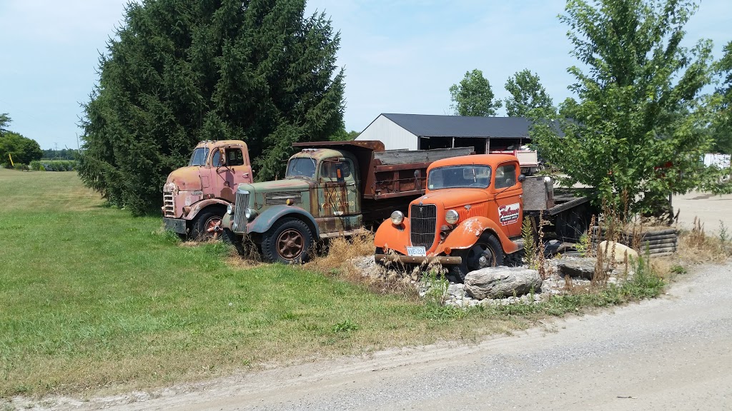Gary Falconer Ltd. | 23688 Adelaide Rd, Mount Brydges, ON N0L 1W0, Canada | Phone: (519) 264-1161