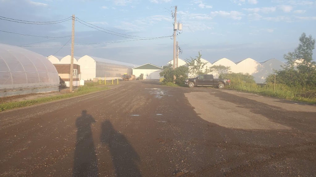 Fermes Ignazio Notaro & Fils Inc (Les) | 335 Rang Saint-Joseph, Sherrington, QC J0L 2N0, Canada | Phone: (450) 454-4159