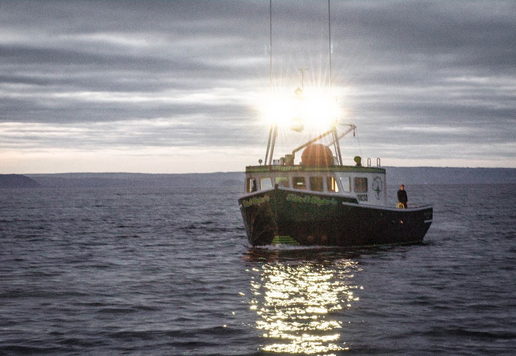 Sea Cones Ice Cream Boat | 3744 NS-359, Centreville, NS B0P 1J0, Canada | Phone: (902) 679-1355