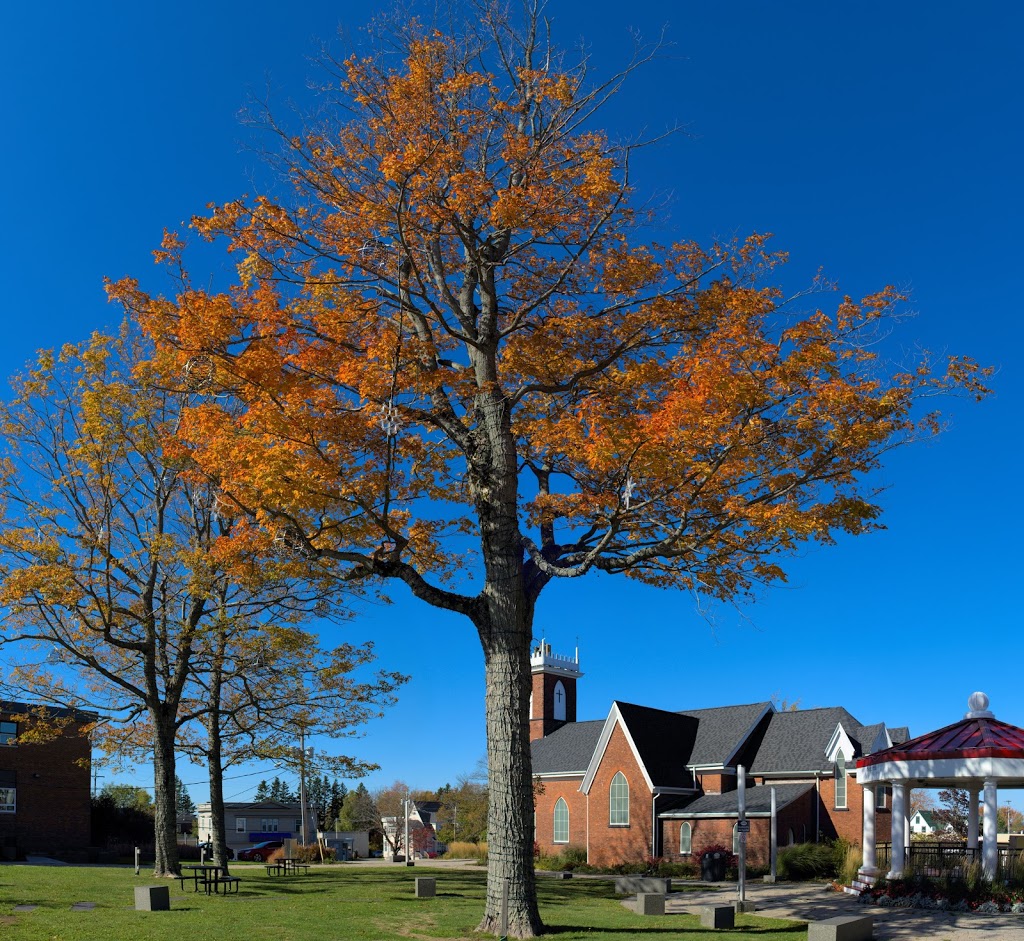 The Anglican Parish of Christ Church | 5 Lawrence St, Amherst, NS B4H 3G4, Canada | Phone: (902) 667-2415