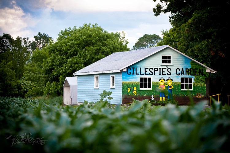 Gillespies Garden | 1043 Brantford Hwy, Cambridge, ON N1R 5S6, Canada | Phone: (519) 622-2294