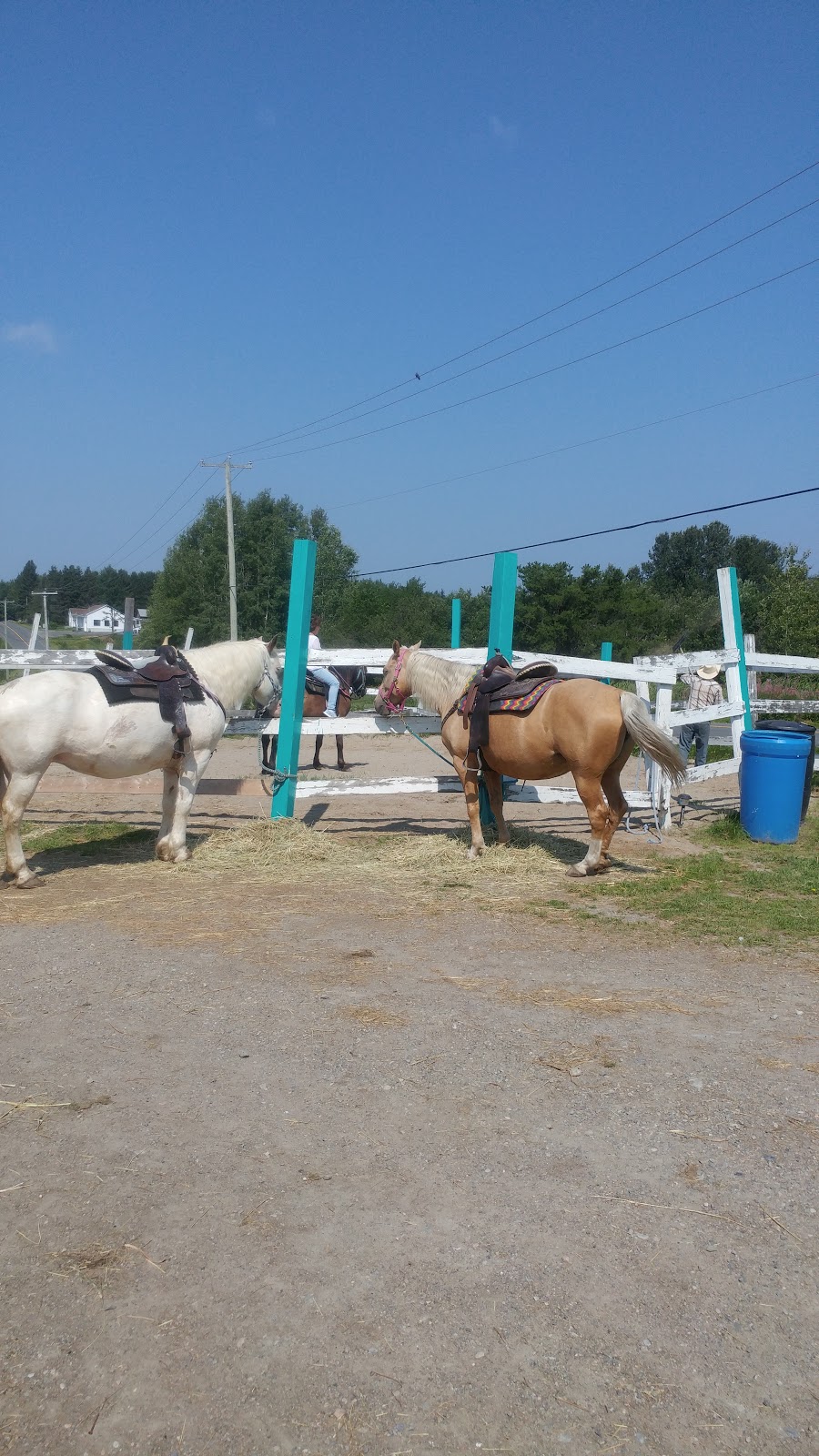 Centre Equi-Nature | 276 Rue Principale, Saint-Nazaire, QC G0W 2V0, Canada | Phone: (418) 669-3427