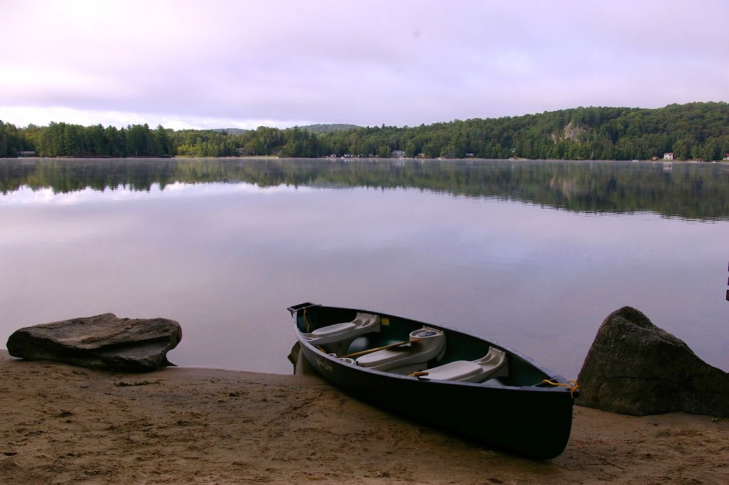 Wild Wild Rest | 1194 Dignan Rd, Haliburton, ON K0M 1S0, Canada | Phone: (416) 540-6178