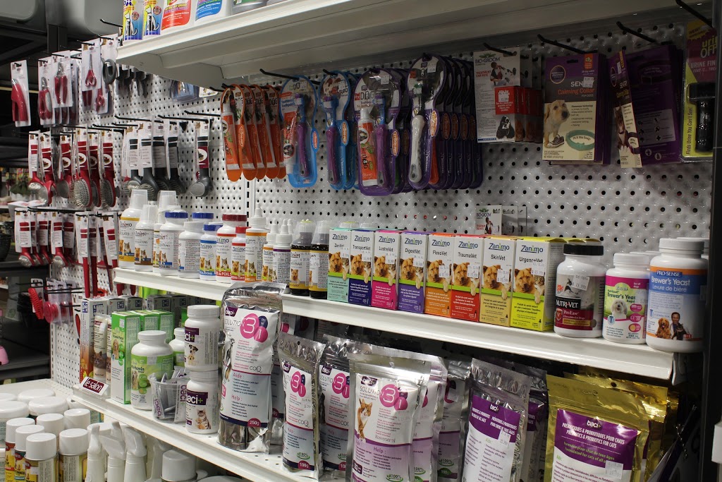Animalerie Animazoo | 520 Boulevard Frontenac O, Thetford Mines, QC G6G 5V9, Canada | Phone: (418) 335-7645