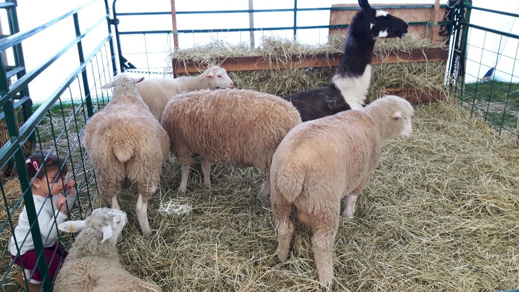 Georgetown Fairgrounds | 1 Park Ave, Halton Hills, ON L7G 3H9, Canada | Phone: (905) 873-2600
