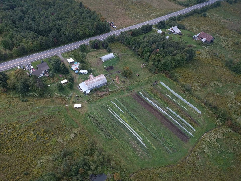 Les jardins au pas de lâne | 485 Avenue Centrale S, Stratford, QC G0Y 1P0, Canada | Phone: (418) 443-1200