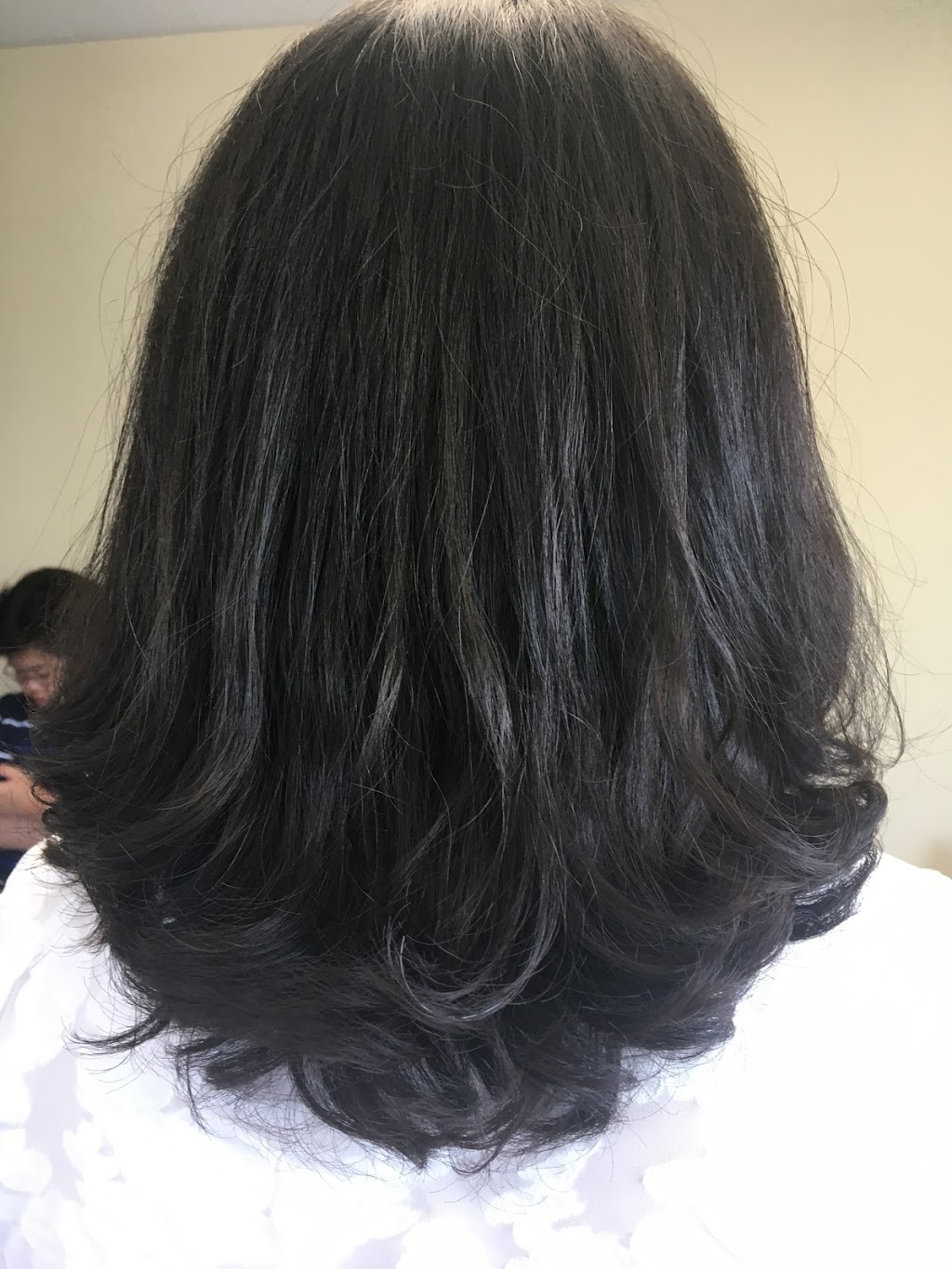 Huiping Salon | 8050H Boulevard Taschereau, Brossard, QC J4X 1C2, Canada | Phone: (514) 709-0907