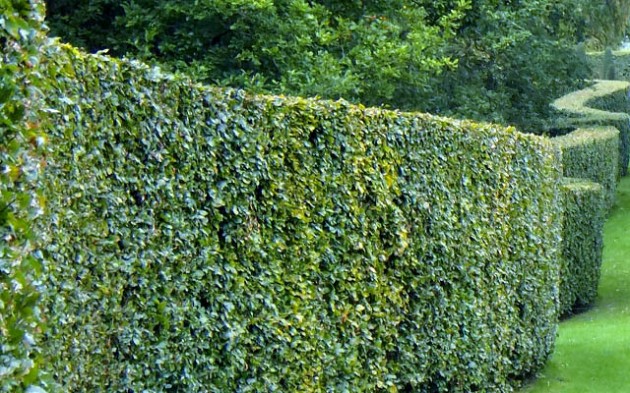 CTM Lawn Care | 47 Blanchard Ave, Truro, NS B2N 4K7, Canada | Phone: (902) 957-3571