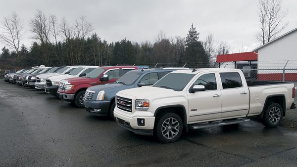 Halter Registered Importers | 230 Birch Bay Lynden Rd, Lynden, WA 98264, USA | Phone: (360) 303-9016