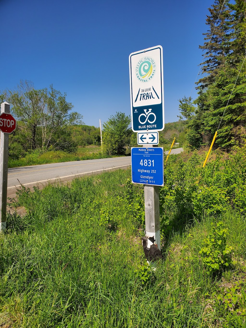 Katies Close RV Sites | 995 Smithville Rd, Mabou, NS B0E 1X0, Canada | Phone: (902) 670-8179